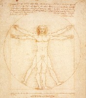 [-TA-] Leonardo Logo