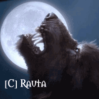 [C] Rauta Logo
