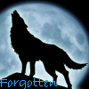 Wolfyn Logo