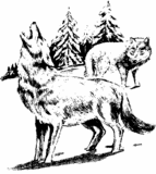 (CLAWS) Fake blond Logo