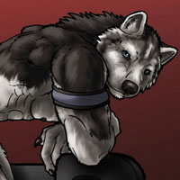 Nixwolf Logo