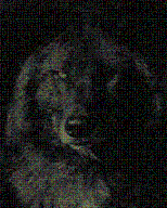 Grietje Logo