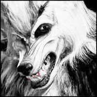 Valeka Logo