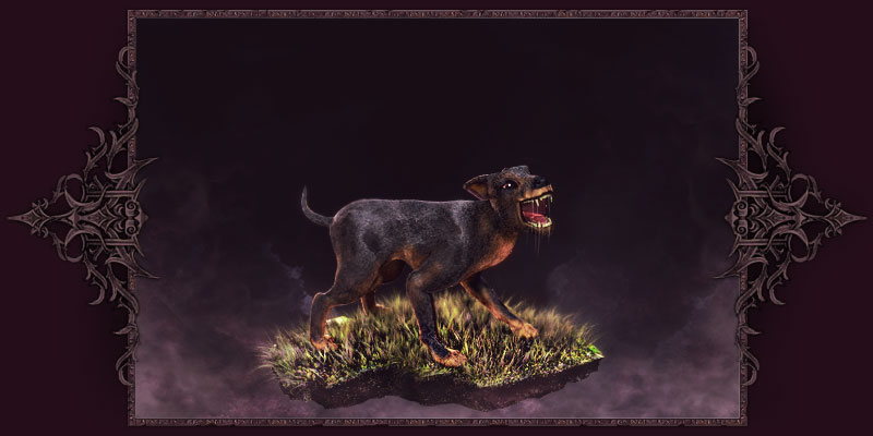 Hound