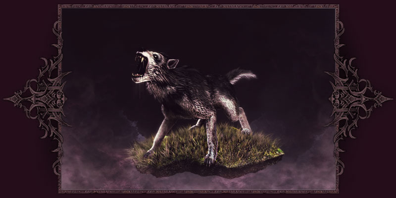 Wolfhound