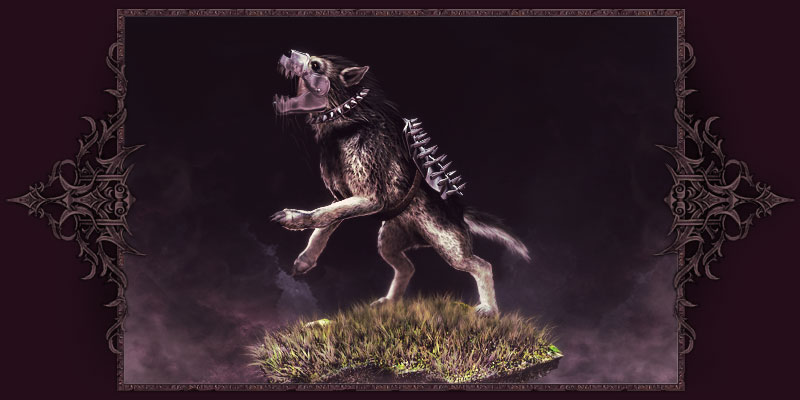Selphis' pet